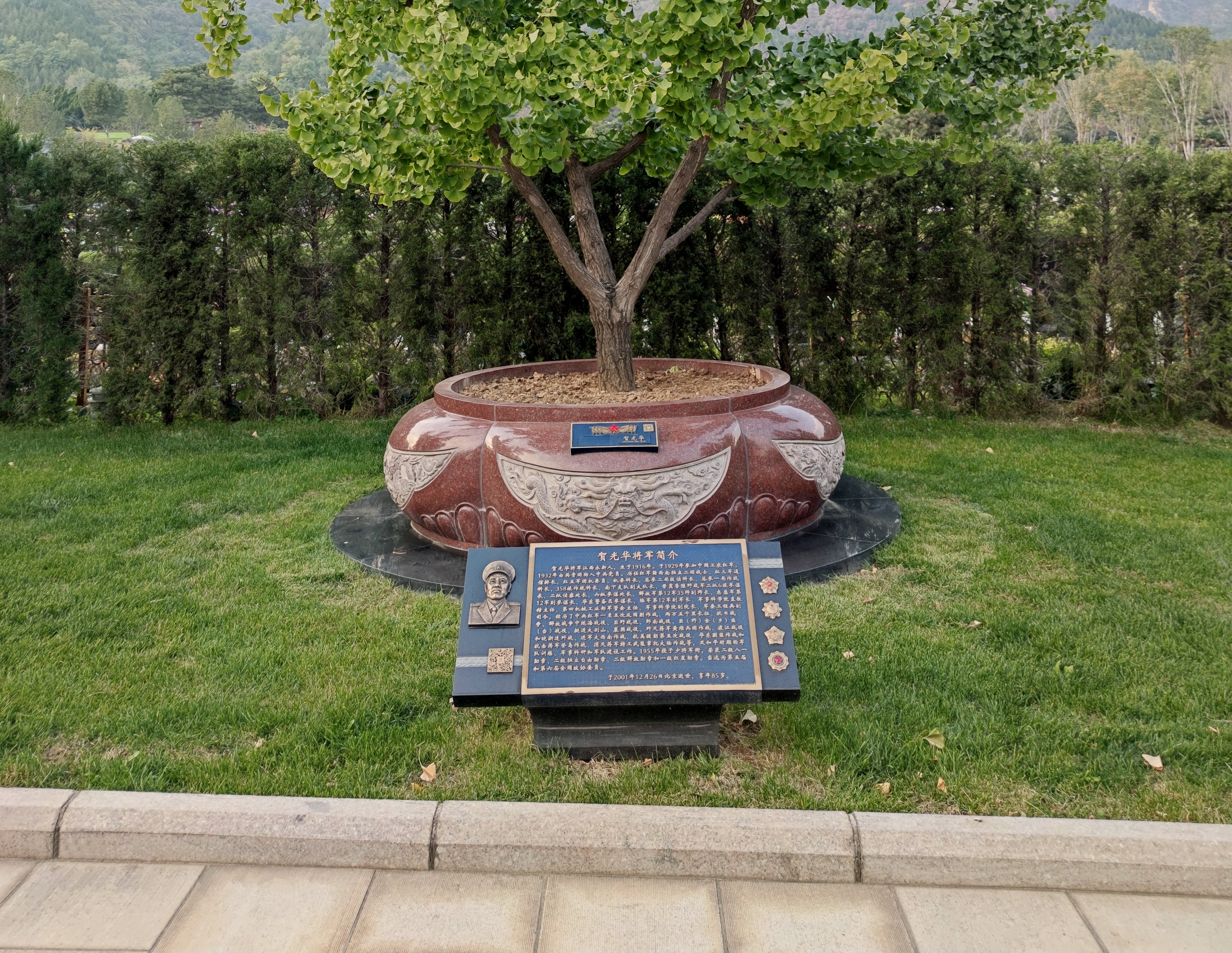 贺光华将军安息之地：九龙坛树葬