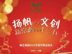年终会：记2015年终总结大会暨2016年计划会议