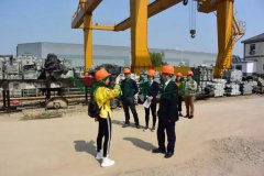 太阳集团电子游戏集团匠心打造景观雕塑型生产基地