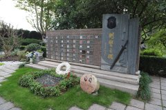 致敬“平安卫士”，铭记“刑警之魂”