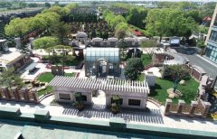 方寸之间，艺术与自然共舞