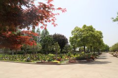 让告别成为另一种生长