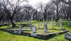 现代墓园的绿色跃迁