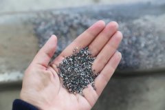 石语新章：仿真保护箱中的生态启示录